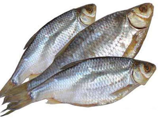 Рыба, Икра, Морепродукты в Краснодаре фото 4