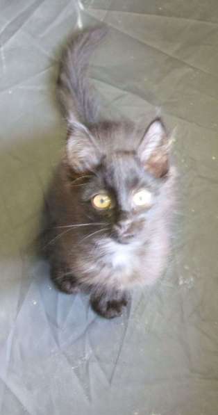 Возьмите меня домой в Москве фото 7