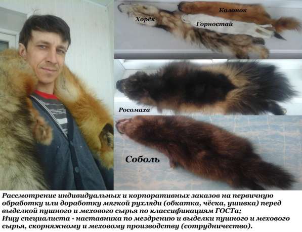 Обработка пушного и мехового сырья в Томске фото 6