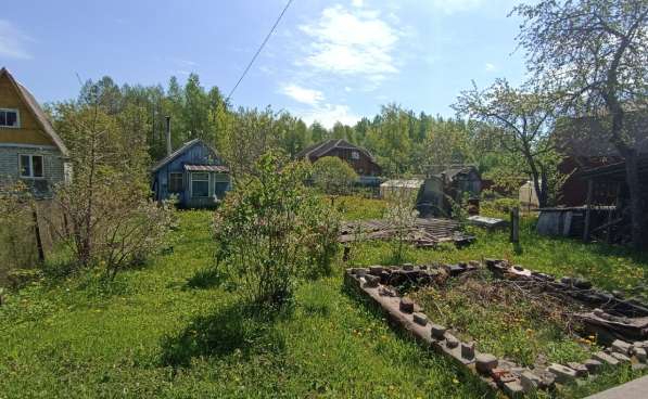 Участок 8 сот. (СНТ, ДНП) в Пскове