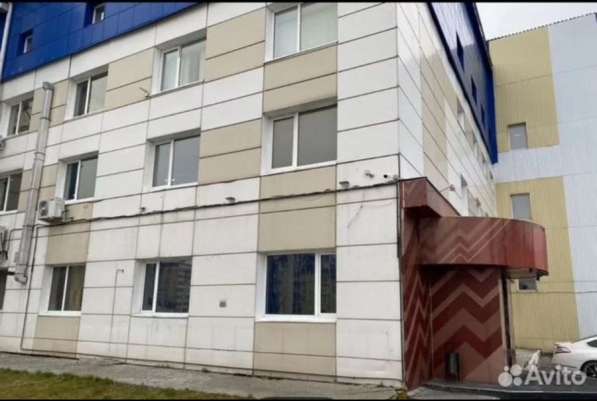 Сдам помещение в ТЦ на первом этаже в Сургуте фото 12