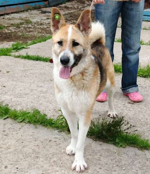 Супер позитивная девчонка Зира ищет своего ЧЕЛОВЕКА в Москве фото 7
