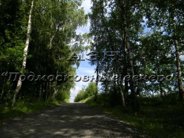 realty_mapper3.plot_in_locationИндивидуальное жилищное ст-во. Площадь 15.00 сот.Есть Электричество. в Москве фото 6