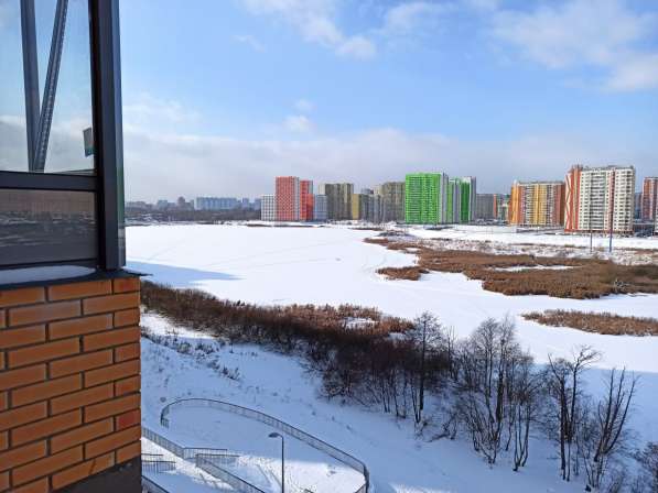Квартира с видом на озеро в Москве фото 14