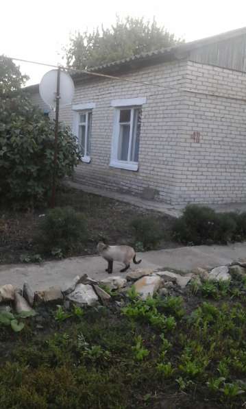 Продам газифицированный дом в поселке Магитсральный в фото 5