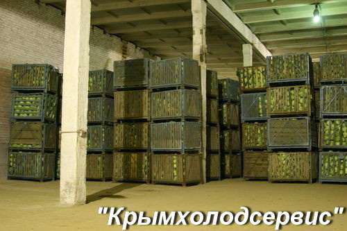 Овощные холодильные камеры в Крыму с установкой. Сервис 24 ч в Симферополе фото 15