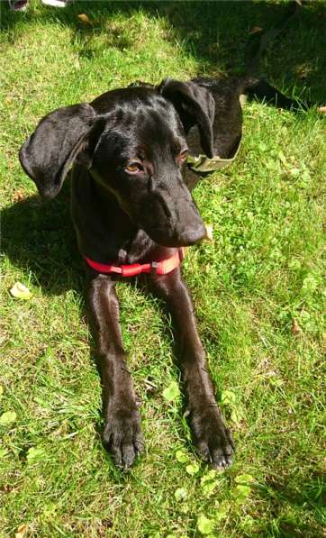 Ангел ищет семью в Москве фото 4