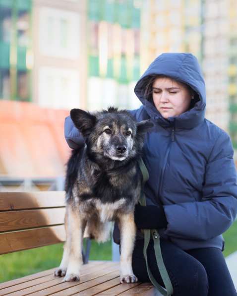 Пёсик в костюмчике ищет дом в Санкт-Петербурге фото 34