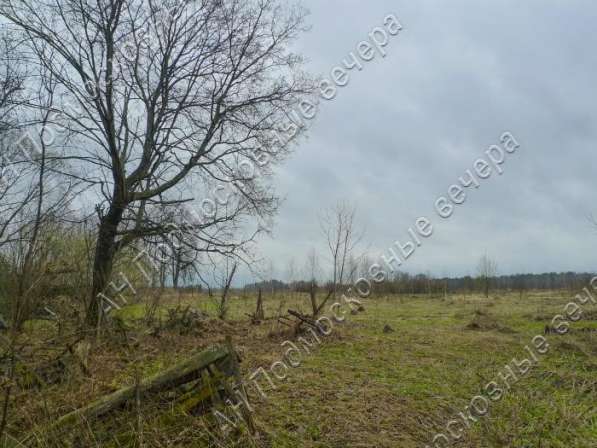 realty_mapper3.plot_in_locationПлощадь 31.00 сот.Есть Электричество, Газ.