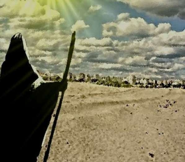 Ищу спонсоров для публикации романа в Москве фото 4