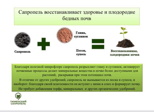 Сапропель Удобрение в Тюмени