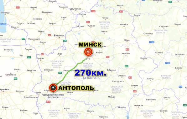 Продам дом в гп. Антополь, от Бреста 77км. от Минска 270 км в фото 19