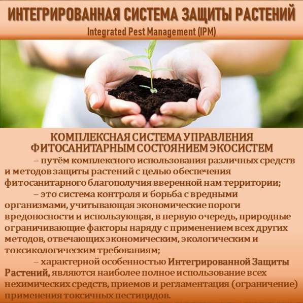 СИСТЕМА УПРАВЛЕНИЯ ФИТОСАНИТАРНЫМ СОСТОЯНИЕМ ЭКОСИСТЕМ в Сочи фото 43