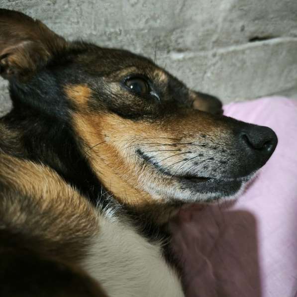 Чудесный мальчик Митя из приюта ищет семью в Санкт-Петербурге фото 4