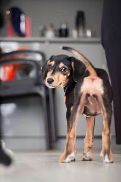 Зиппи ищет своего человека в Москве фото 7