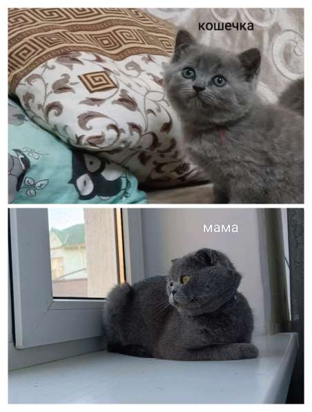 Продаётся 500 р