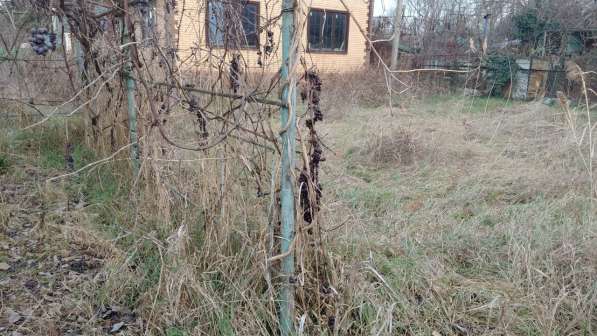 Расчистка участков в Краснодаре фото 3