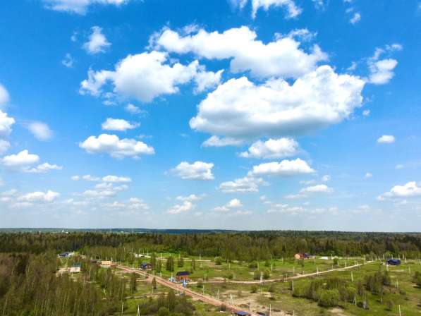 Участки возле леса окружения леса