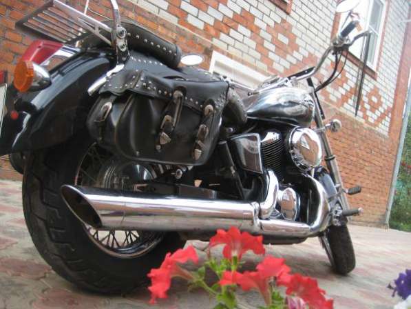 Honda VT 750 C Shadow в Тимашевске