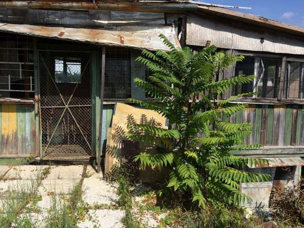 Продаю земельный участок в Сочи на Мацесте в Сочи фото 4