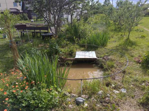 Продам дачу рядом с городом в Петрозаводске фото 3