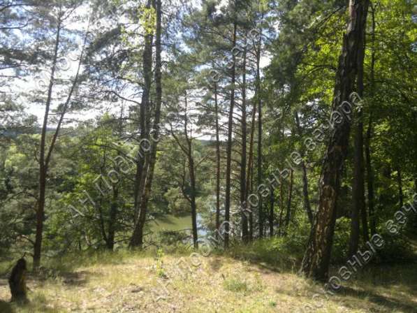 realty_mapper3.plot_in_locationИндивидуальное жилищное ст-во. Есть Электричество, Газ. в Москве фото 35