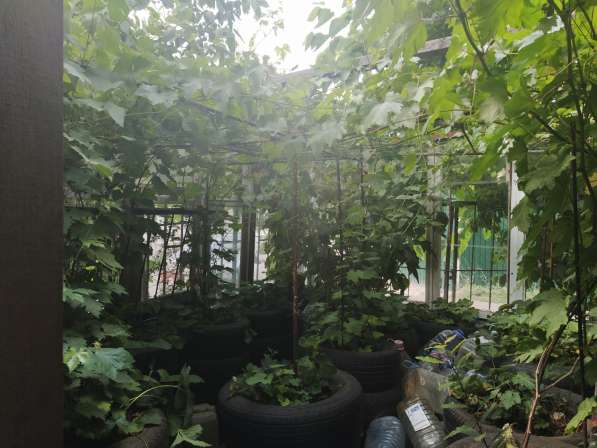 Ровный участок на 7км СТ Горнодолинный в Севастополе фото 3