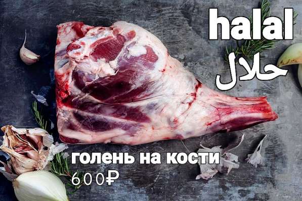 ЭКО- мясо ягненка и баранина халал. ЗАКАЖИ СЕЙЧАС! в Москве фото 4