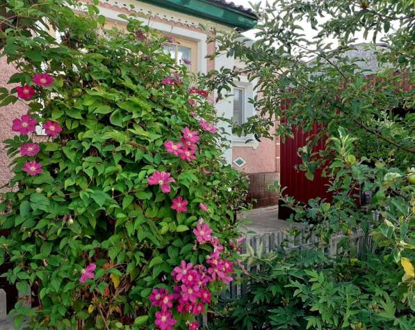 Продается уютный и просторный дом 76,6 кв. м в Луганске в фото 11