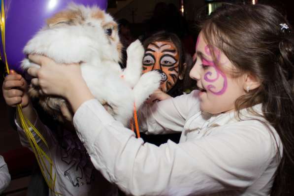 Детские программы на праздник, ростовые куклы в Краснодаре фото 6