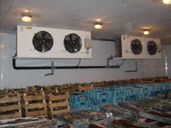Камеры заморозки, охлаждения, хранения в Крыму. Установка в Симферополе фото 14