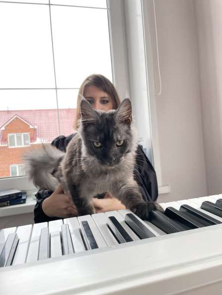 Уроки фортепиано в Санкт-Петербурге фото 4