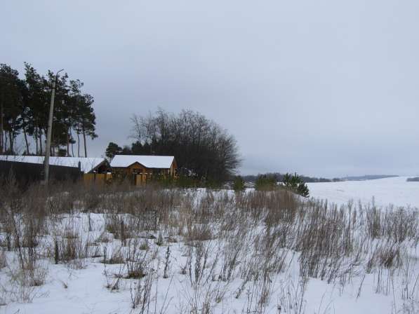 Участок, 1 га, в соснах, с выходом к воде, Никольское в Белгороде фото 4