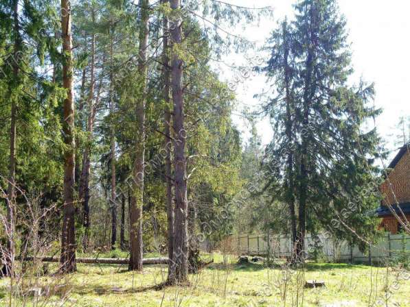 realty_mapper3.plot_in_locationСадовое некоммерческое тов-во. Площадь 20.00 сот.Есть Электричество.