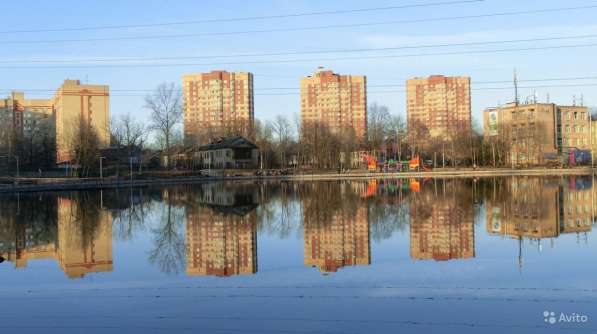 Cдам комнату посуточно Пушкино в Пушкино фото 8