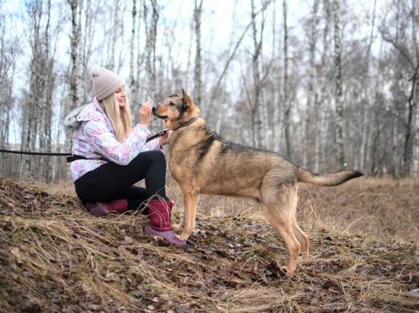 Большой добрый Борман ищет семью в Москве фото 18