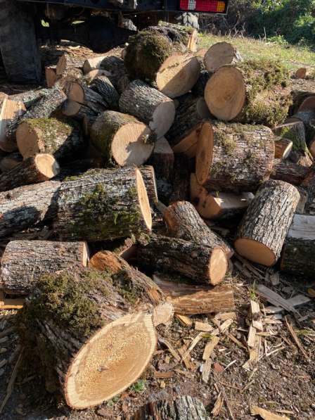 Дрова дубовые в Краснодаре фото 3