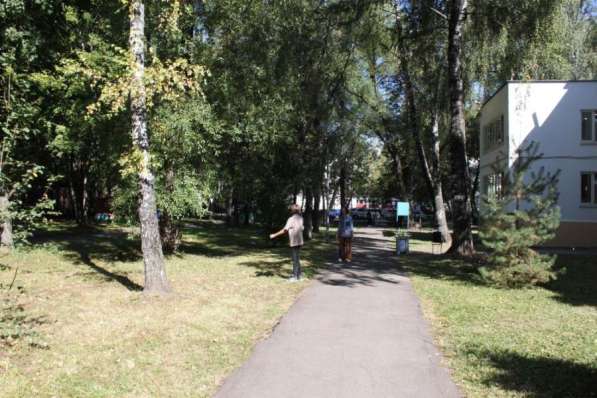 Частная школа - углублённые занятия и индивидуальные планы в Москве фото 3