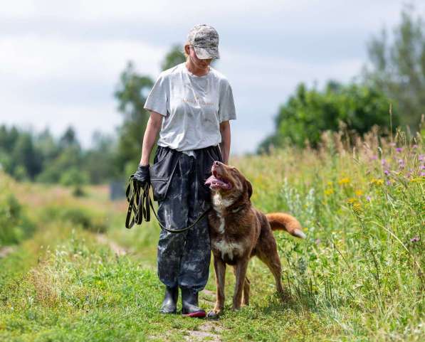 Молодой весёлый Барни в добрые руки! в Москве фото 8