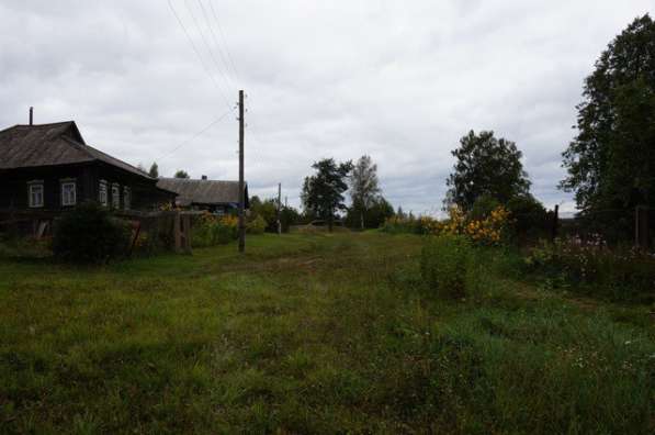 Бревенчатый дом в тихой деревне, недалеко от речки в Ярославле фото 4