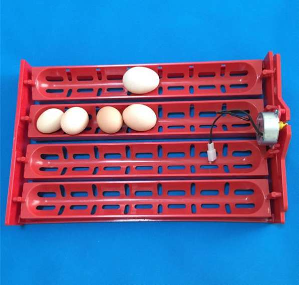 ✔ ✔ ✔ Лотки с переворотом для инкубатора на 40 гусиных яиц в Астрахани фото 6