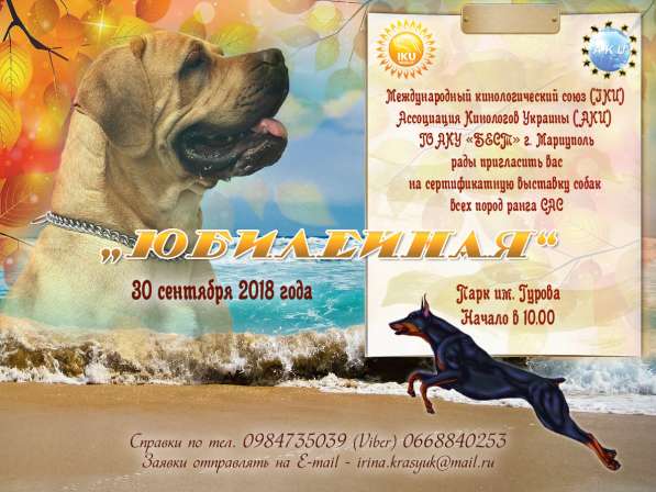 Выставка собак в 