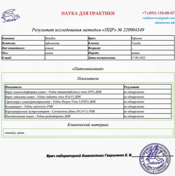 Сос! Кошечку выкинули на улицу в Москве фото 15