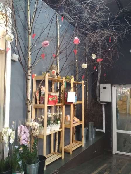 Продается готовый цветочный бизнес в Москве фото 5