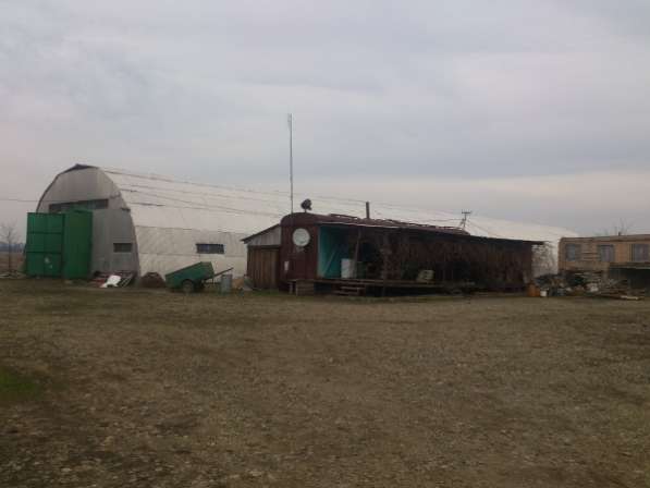 Продажа теплично-фермерского хозяйства в Краснодаре фото 8