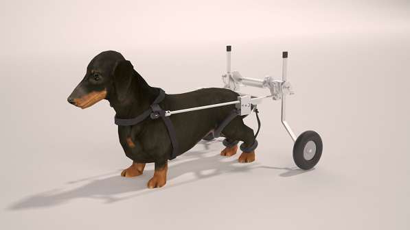 Инвалидная коляска для собак в Ростове-на-Дону фото 6