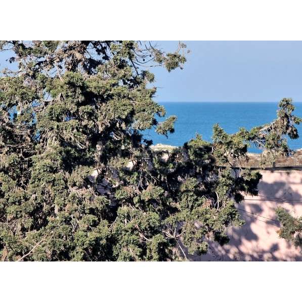 Набережная вилла с видом на море в фото 5