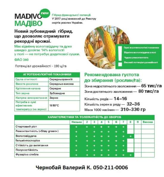 Семена кукурузы. Доставка в 