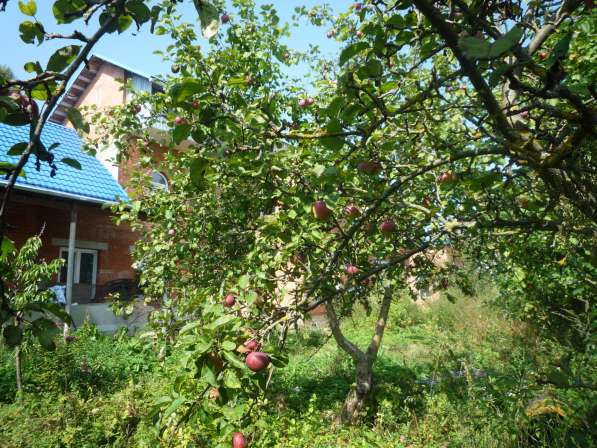 Кирпичный дом в г. Козельске, Калужской обл, 270 км. от МКАД в Реутове фото 8