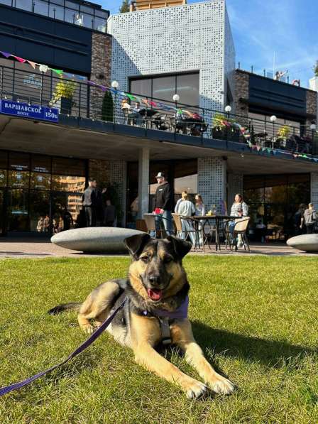 -Москва, услышьте зов Персея! в Москве